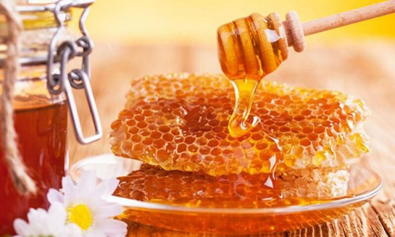 Какой мед и при каких заболеваниях помогает - Лист Клевера