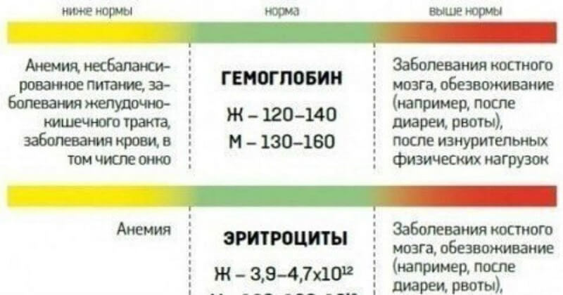 Проект кровь анализ крови