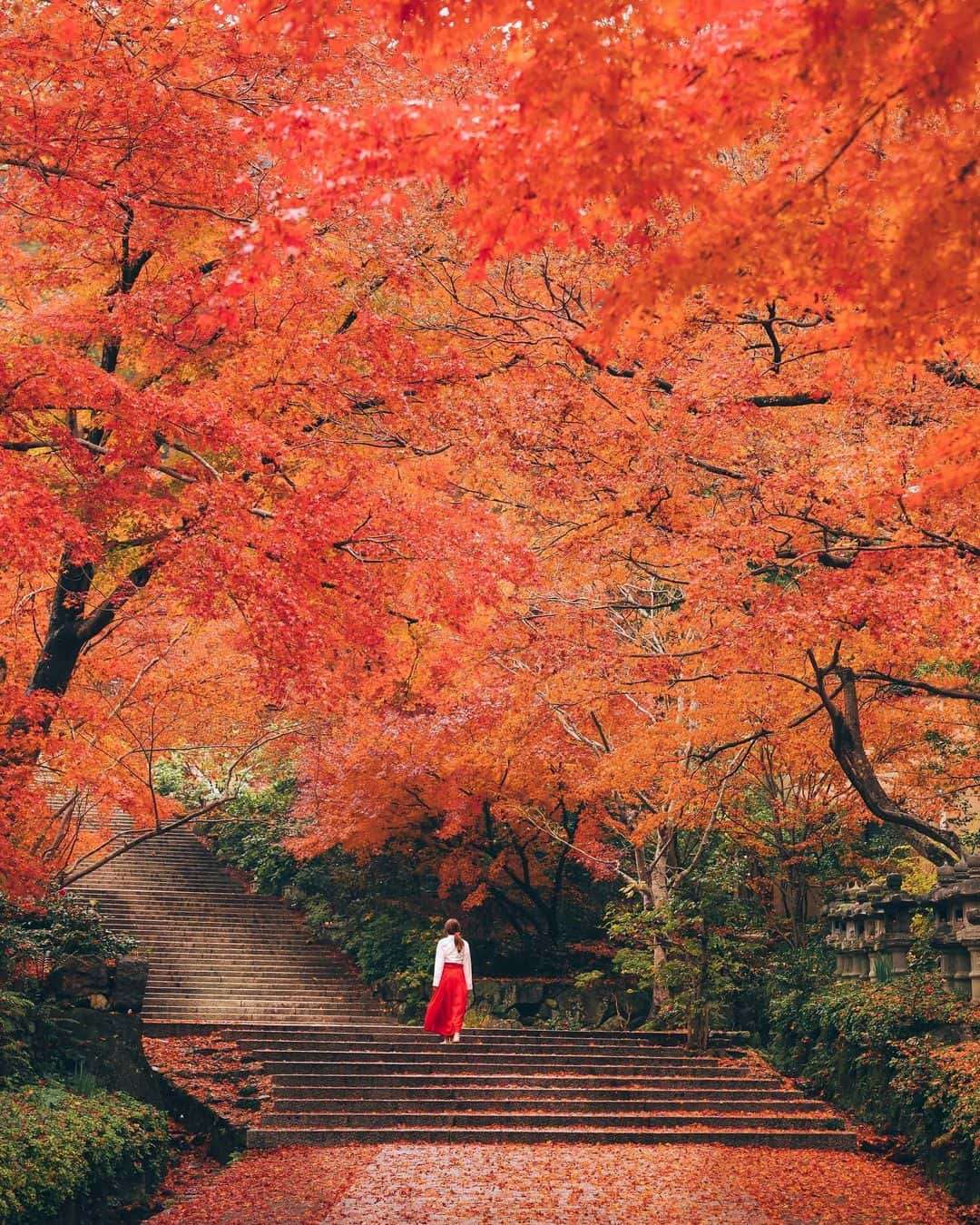 Enchanting Fall Landscape Photos of Japan Hiroki Nose