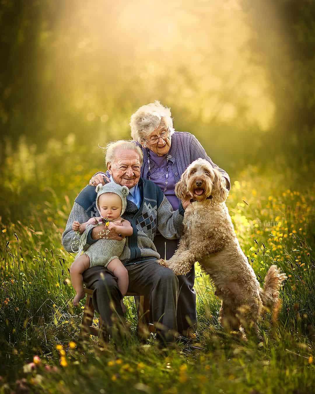 Красивые картинки бабушки и дедушки. Суджата сетиа фотограф. Бабушка дедушка и внуки. Дедушка с внуками. Дедушка и внук.