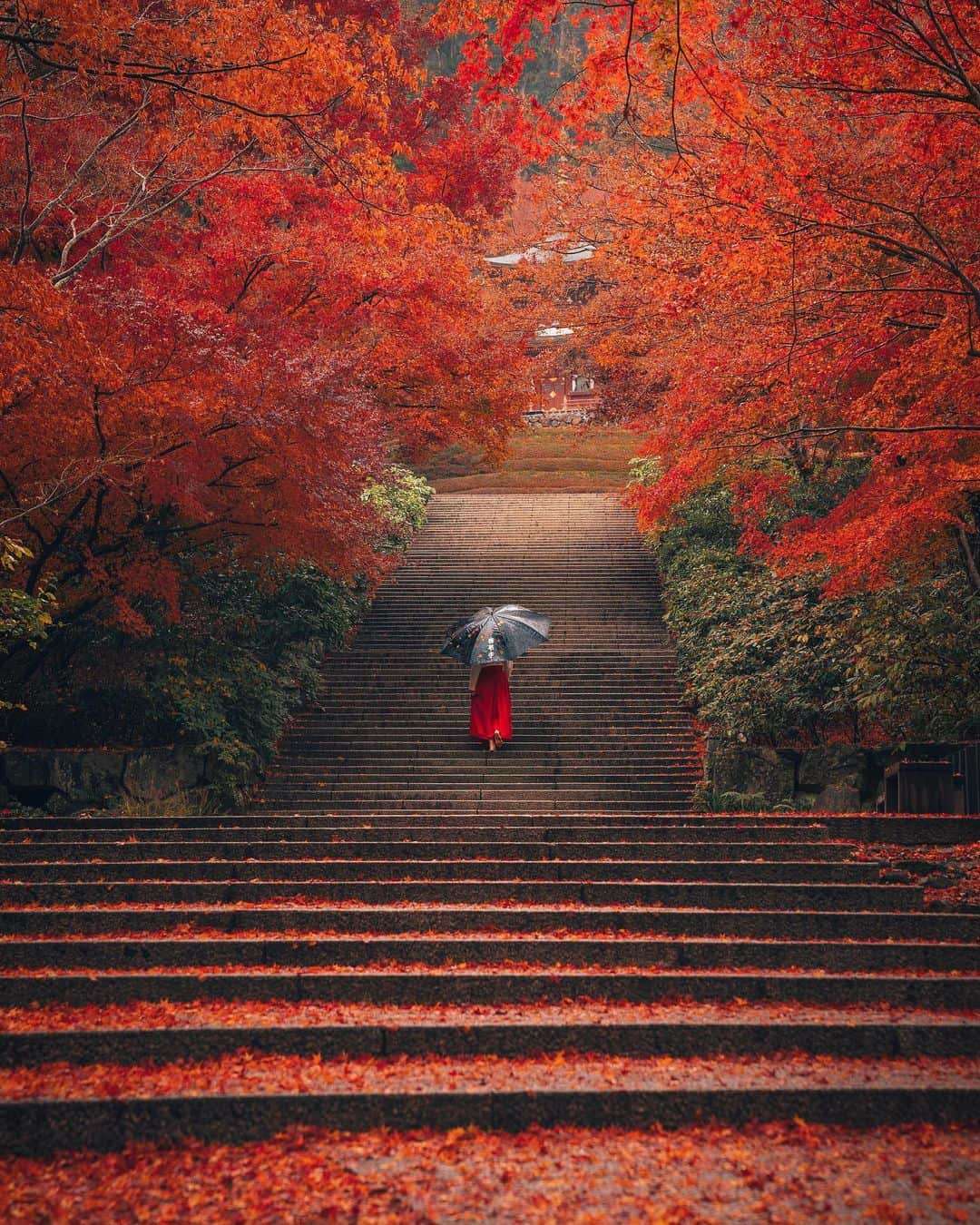 Enchanting Fall Landscape Photos of Japan Hiroki Nose