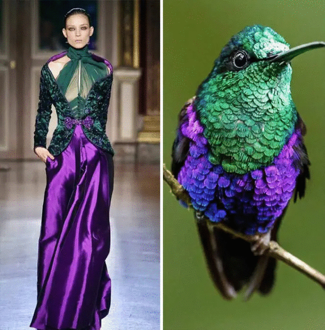 23 Extravagant Creations Inspired by Nature