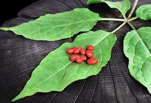 red ginseng berries