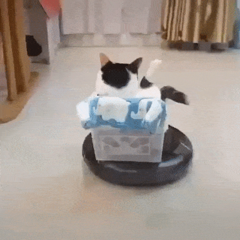 gif of a cat sitting on a basket on top of a moving robot vacuum