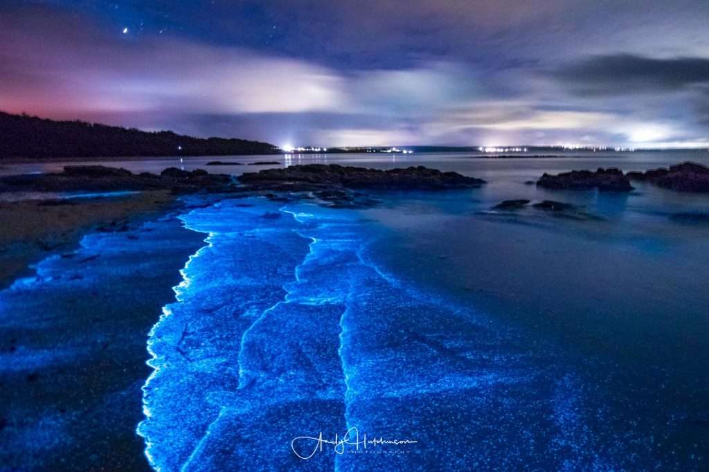 playas bioluminiscencia México