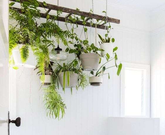 14 Ideas for a Cute DIY Plant Stand