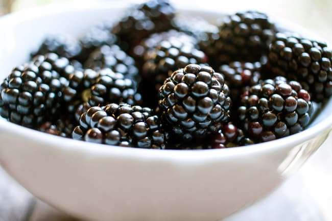photo of blackberries