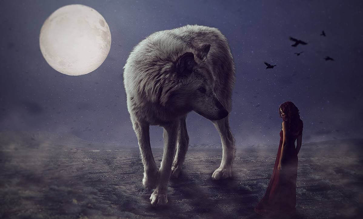 Girl with wolf thinking when no one can touch you