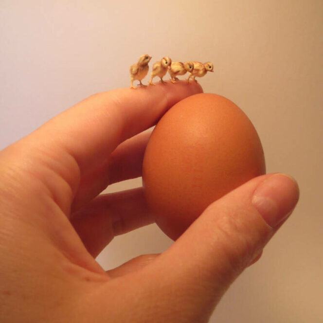 24 Miniature Animal Figurines. They Look So Realistic! The Tiniest Toys in the World