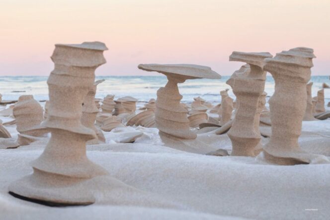 Strong Wind Turned Frozen Sand Into Wonderful Columns. They Look Extraterrestrial!