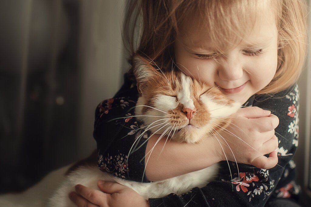 Girl hugging a kitten