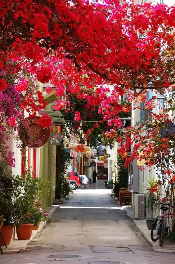 15 Beautiful Flower-filled Streets from Different Parts of the World