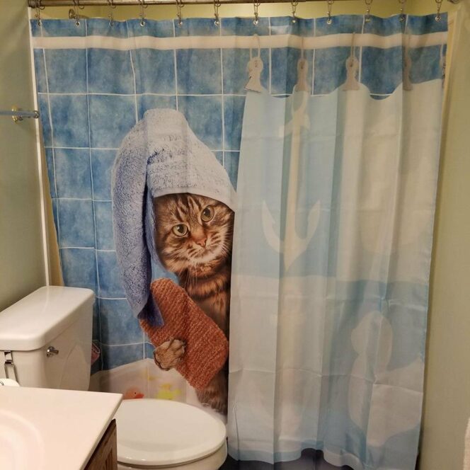 23 Insane Shower Curtains to Make You Sing Any Time You Take It!