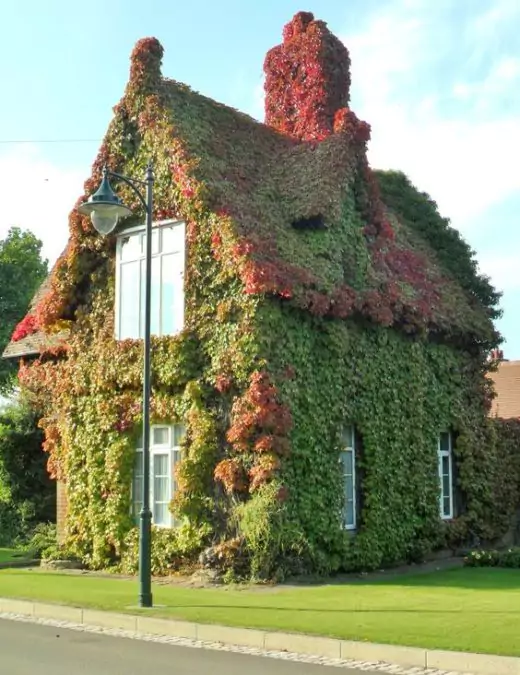 17 Amazing Houses Covered With Flowers and Ivy. You’d Love to Live In One of These
