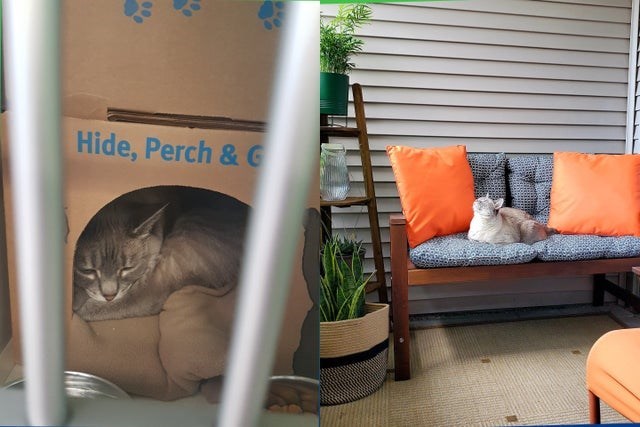 Furniture - Hide, Perch & G