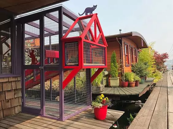 17 Cat Patio Ideas. A Way to Pamper Your Furry Ones