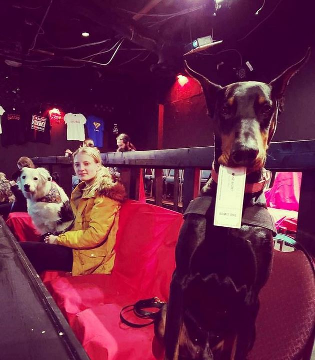It’s the World’s First Cinema Where You Can Come With Your Dog