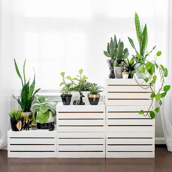 17 Plant Stands to Display All Your Plants at Home in a Spectacular Way