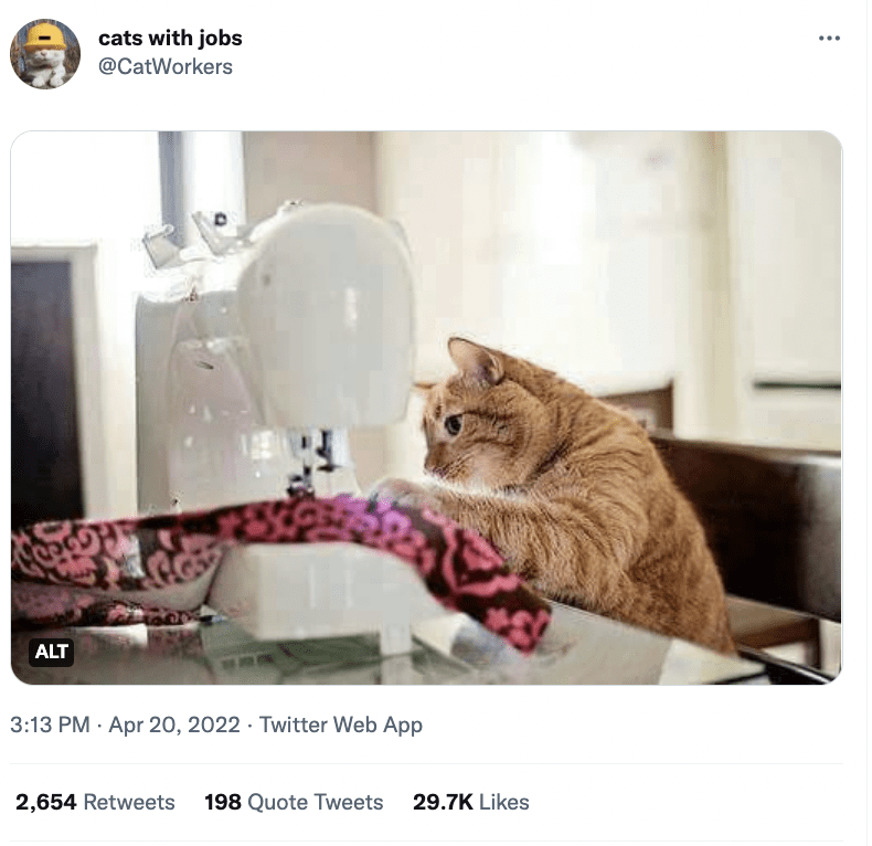 Cat - cats with jobs ... @CatWorkers ALT 3:13 PM · Apr 20, 2022 · Twitter Web App 2,654 Retweets 198 Quote Tweets 29.7K Likes