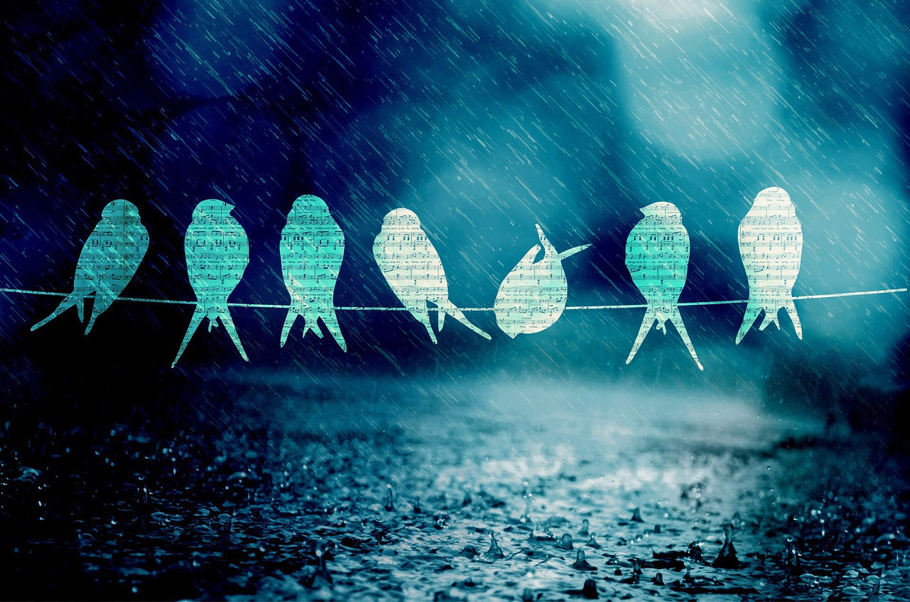 Вы когда–нибудь замечали... - Лист Клевера