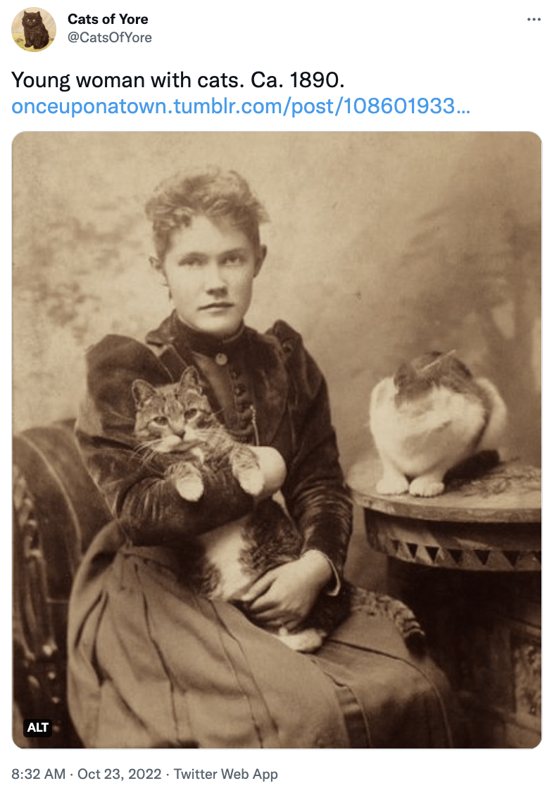 Vertebrate - Cats of Yore @CatsOfYore Young woman with cats. Ca. 1890. onceuponatown.tumblr.com/post/108601933... ALT 8:32 AM - Oct 23, 2022 Twitter Web App ...