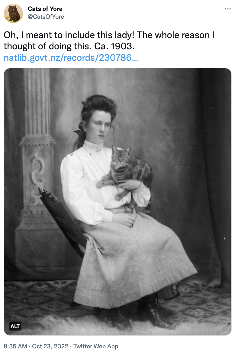 Adaptation - Cats of Yore @CatsOfYore Oh, I meant to include this lady! The whole reason I thought of doing this. Ca. 1903. natlib.govt.nz/records/230786... ALT 88 8:35 AM - Oct 23, 2022 Twitter Web App