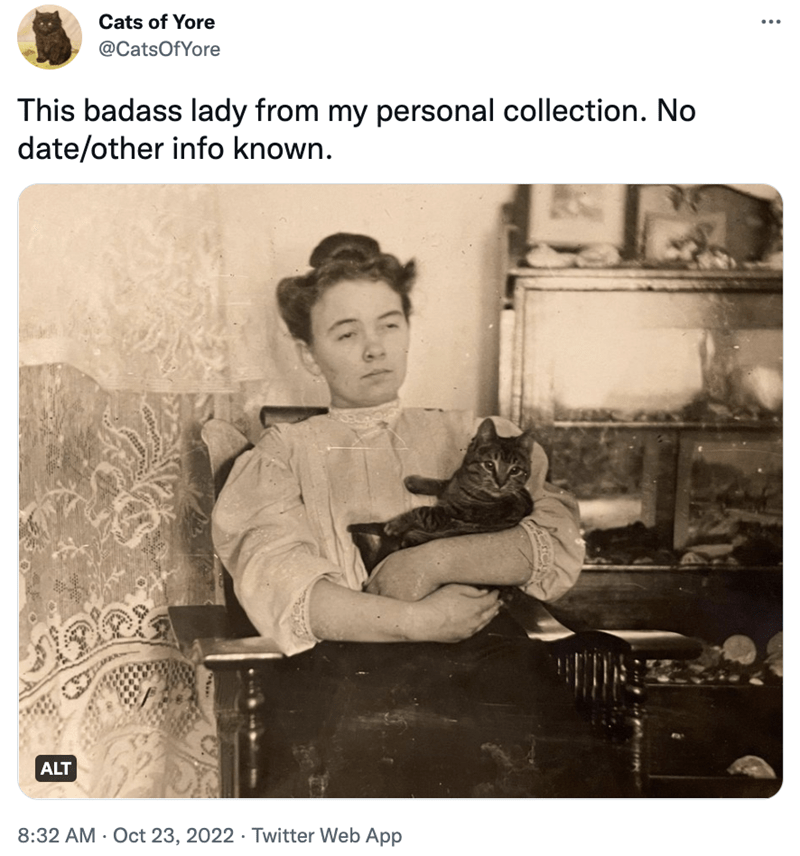 Cat - Cats of Yore @CatsOfYore This badass lady from my personal collection. No date/other info known. ALT 8:32 AM - Oct 23, 2022 Twitter Web App