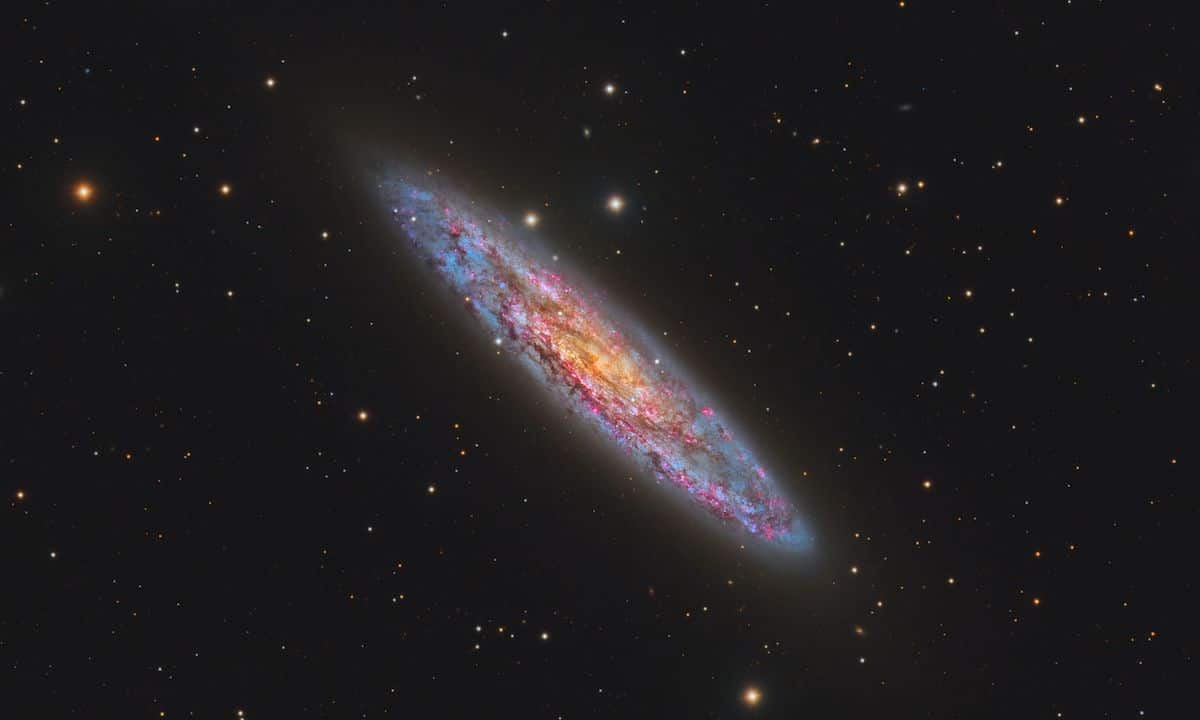 NGC 253 by Connor Matherne
