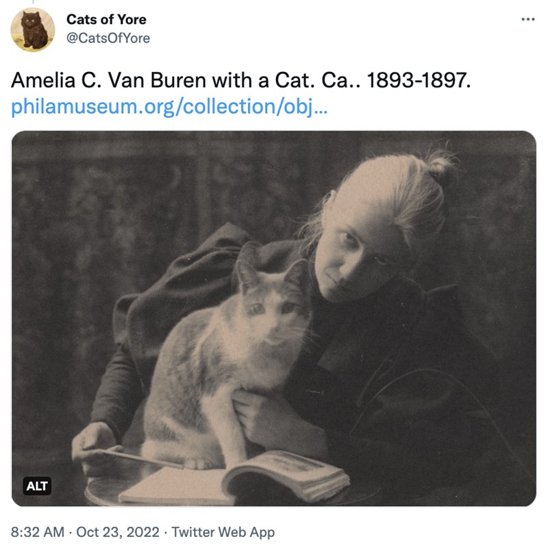 Organism - Cats of Yore @CatsOfYore Amelia C. Van Buren with a Cat. Ca.. 1893-1897. philamuseum.org/collection/obj... ALT 8:32 AM - Oct 23, 2022 Twitter Web App . ...