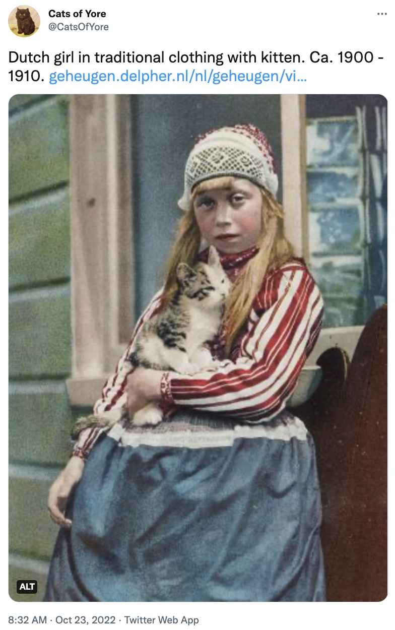 Adaptation - Cats of Yore @CatsOfYore Dutch girl in traditional clothing with kitten. Ca. 1900 - 1910. geheugen.delpher.nl/nl/geheugen/vi... ALT 8:32 AM - Oct 23, 2022. Twitter Web App