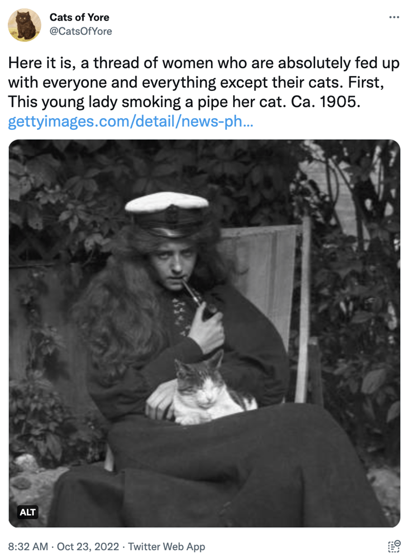 Font - Cats of Yore @CatsOfYore Here it is, a thread of women who are absolutely fed up with everyone and everything except their cats. First, This young lady smoking a pipe her cat. Ca. 1905. gettyimages.com/detail/news-ph... ALT 8:32 AM - Oct 23, 2022. Twitter Web App