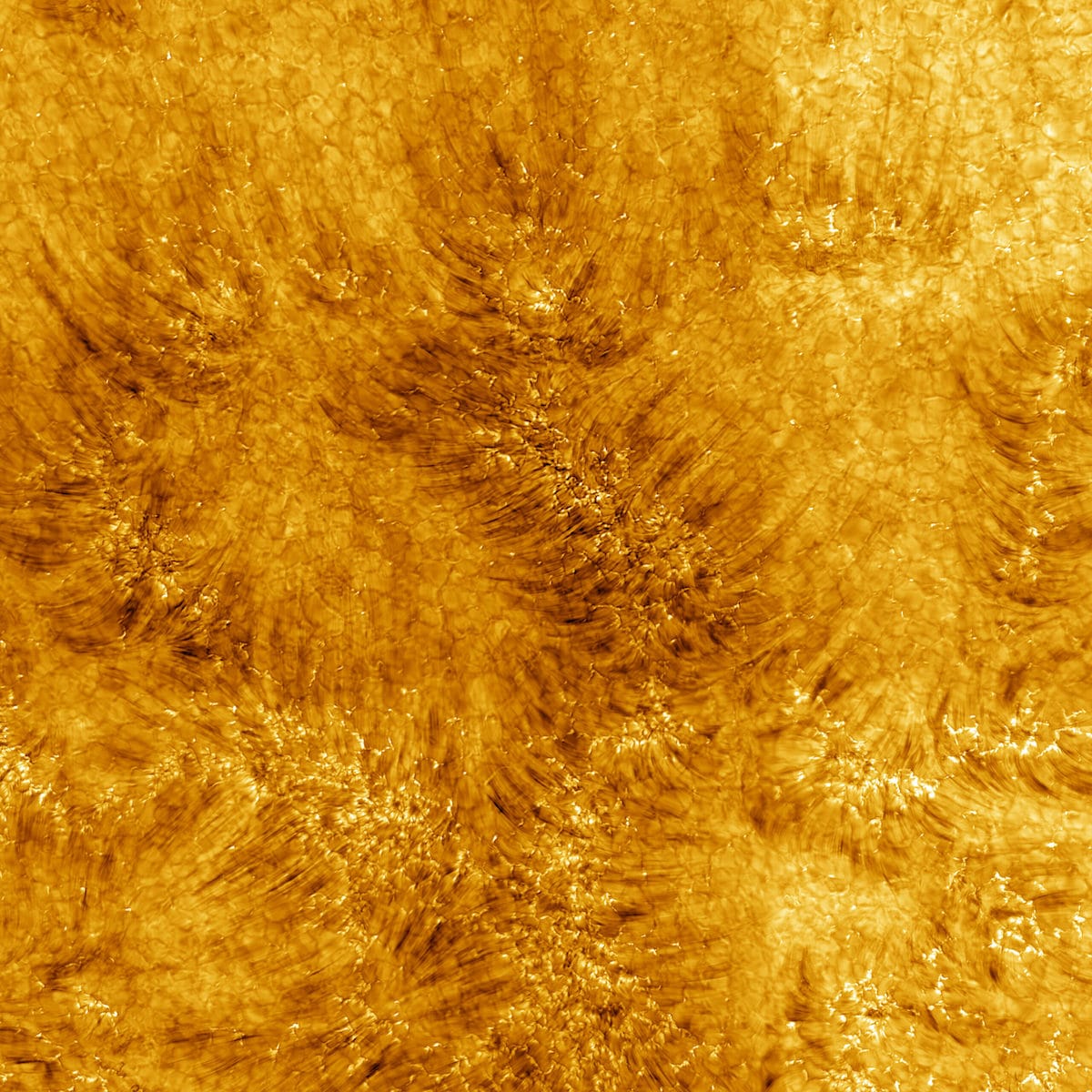Sun's Chromosphere