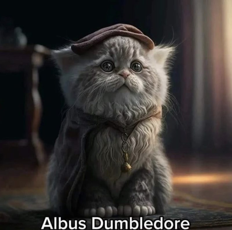 Cat - Albus Dumbledore
