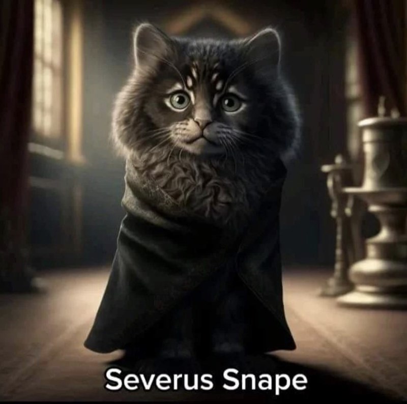 Cat - Severus Snape