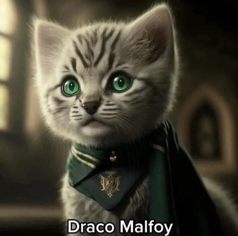 Cat - Draco Malfoy
