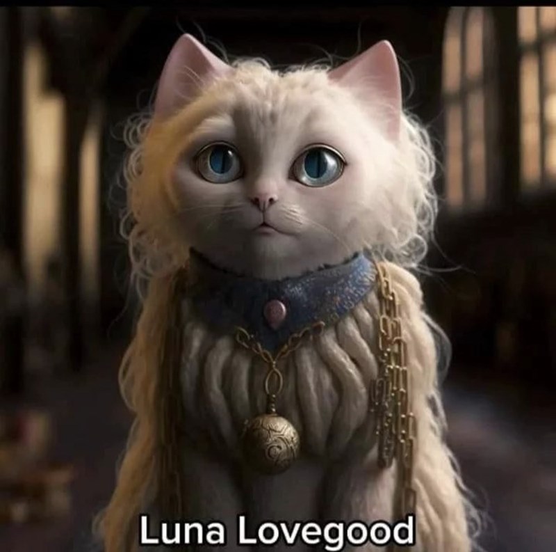 Cat - Luna Lovegood