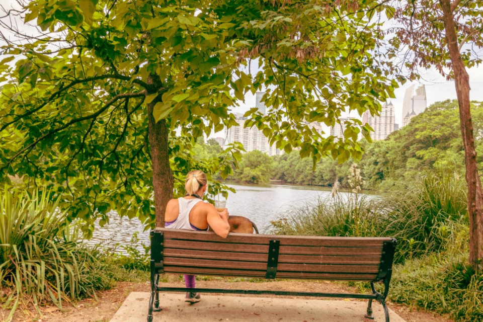 О МЕЧТАХ... - Лист Клевера