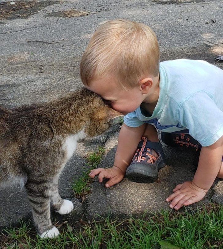 A boy meeting his first kitty — head bonks were had by all