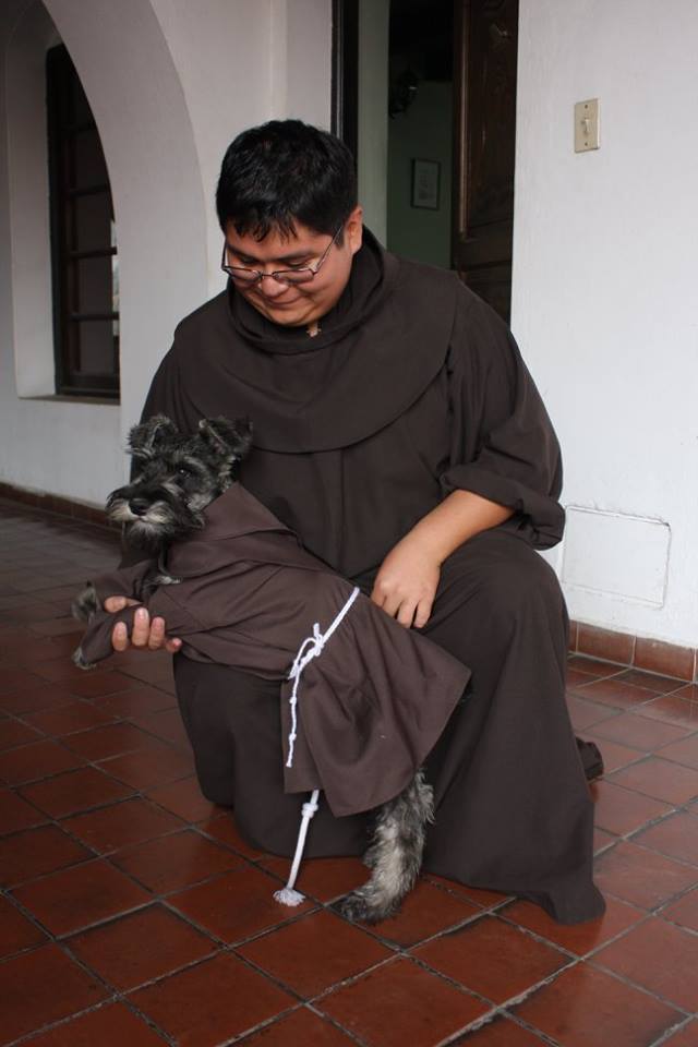 monastery dog friar dog friar bigoton cold nose project